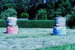 Vogelsberg 2019