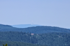 langenberg-20170716_16