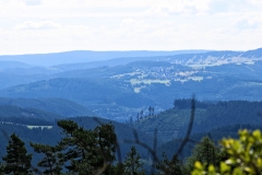 langenberg-20170716_19