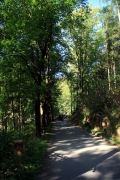 muehltal-2009-13