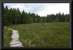 Hochmoor
