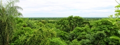 Fort San Carlos del río Apa - Blick nach Brasilien