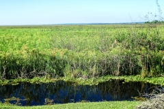 Lago Ypoa