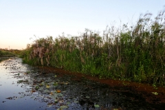 Lago Ypoa