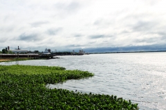 Río Paraguay bei Villa Hayes