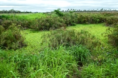 Zufluss zum río Aguaray Guazú