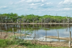 Salzsee in Gran Chaco