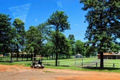 Colonia Manitoba - Golf-Car für Kinder