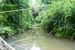 paraguay-06103
