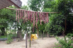 San Carlos - Hier wird Fleisch getrocknet