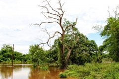 Río Apa