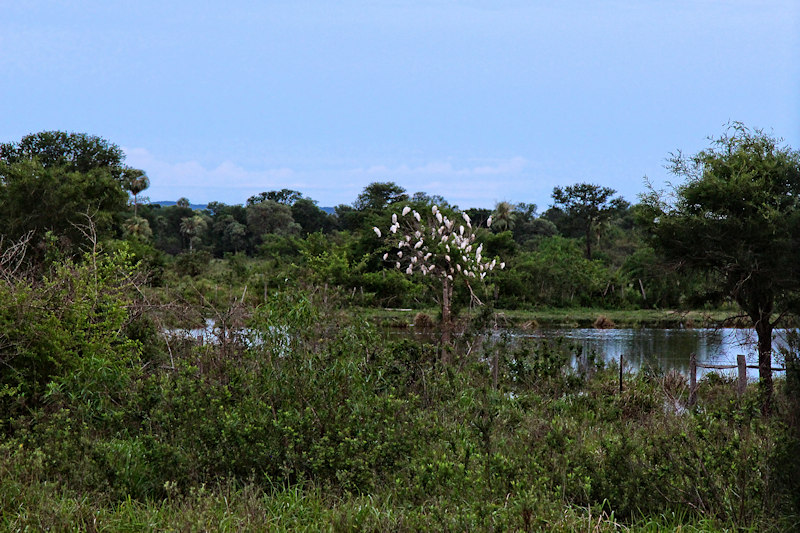 paraguay-04801.jpg