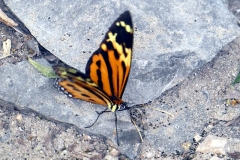 paraguay-04602