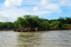 Río Paraná bei Yacyretá