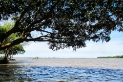 Río Paraná bei Isla Paraiso