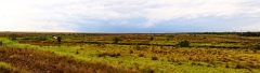 Auf dem Weg nach San Cosme y Damián