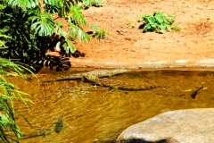 paraguay-08228