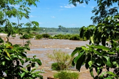 Rio Iguaçu oberhalb der Wasserfälle