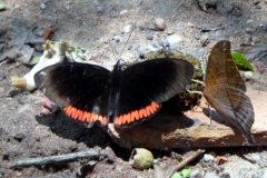 Im Parque nacional de Ybycui