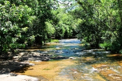 Im Parque nacional de Ybycui