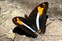 Im Parque nacional de Ybycui