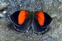 Im Parque nacional de Ybycui
