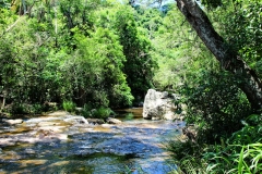 Im Parque nacional de Ybycui