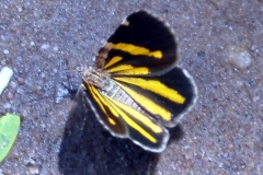 Im Parque nacional de Ybycui