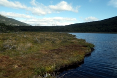 Laguna Negra