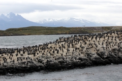 patagonien_2016_04207