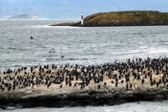 patagonien_2016_04209