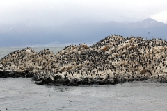 patagonien_2016_04227