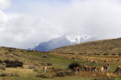 patagonien_2016_07213