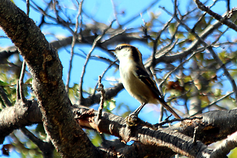 patagonien_2016_08133