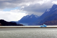 Lago Gray und Gletscher Gray