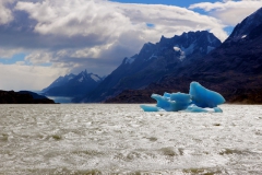 Lago Gray und Gletscher Gray