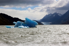 Lago Gray und Gletscher Gray