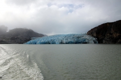 Lago Gray und Gletscher Gray