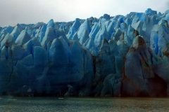 Teile des Gray Gletschers