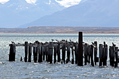 Puerto Natales