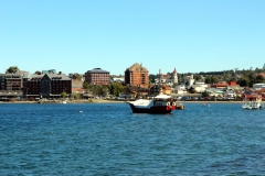 Lago Llanquihue bei Puerto Varas