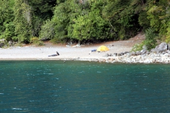 Lago Todos Los Santos