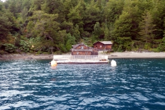 Lago Todos Los Santos