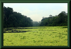 Lagune nahe Saquena