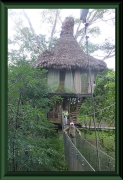 Tree-House-Lodge