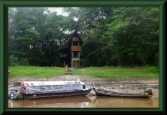 Tree-House-Lodge