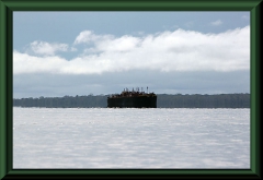 Amazonas bei Yanamono