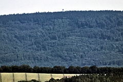 Blick über Nordhausen zum Poppenbergturm