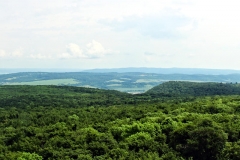 Blick Richtung Osten (Kyffhäuser)