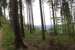 Blick zum Inselsberg